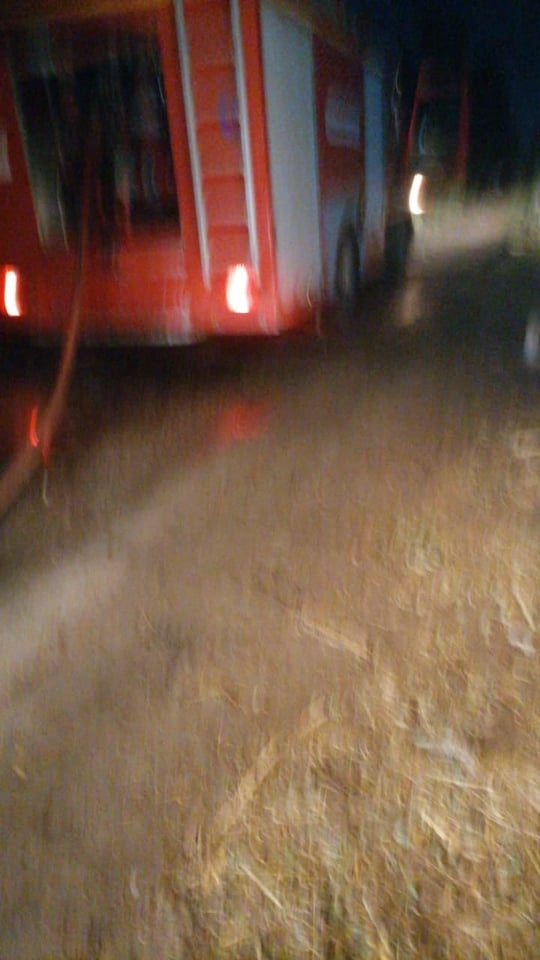 حريق مزرعة مواشي بالبدرشين حريق مزرعة مواشي بالبدرشين