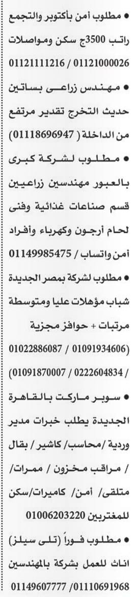 وظائف خالية وظائف خالية